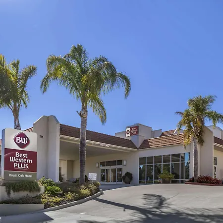 Best Western Plus Royal Oak Hotel-2